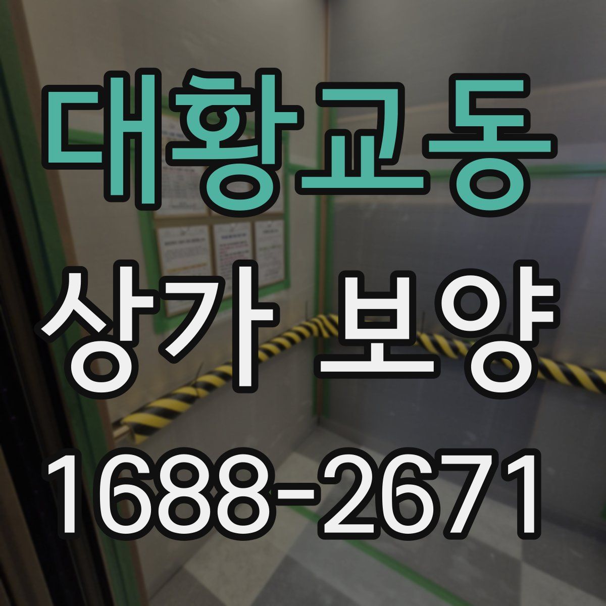 대황교동 상가 보양