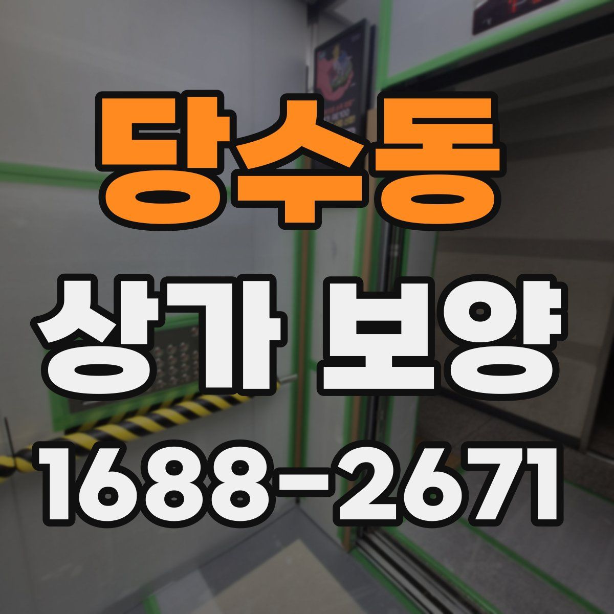 당수동 상가 보양