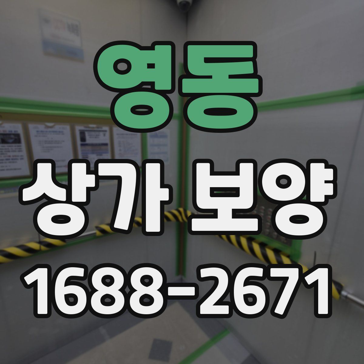 영동 상가 보양
