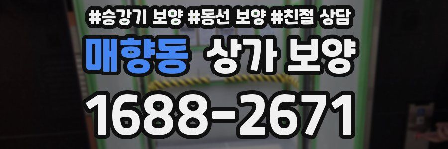 매향동 상가 보양
