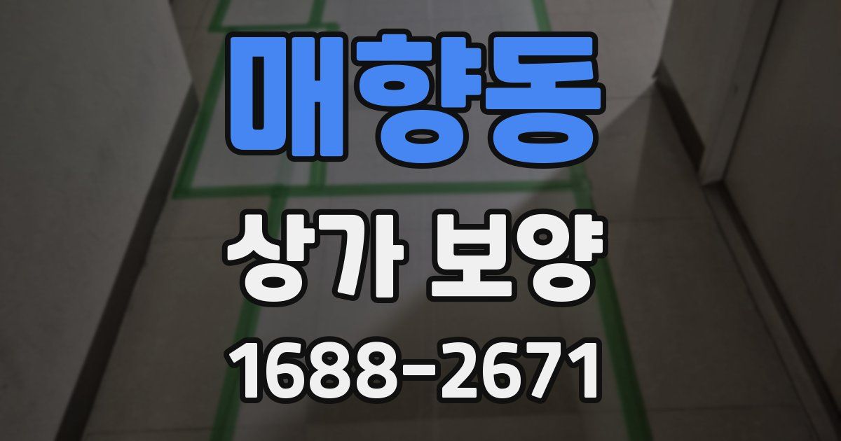 매향동 상가 보양