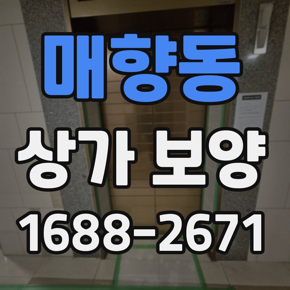 매향동 상가 보양