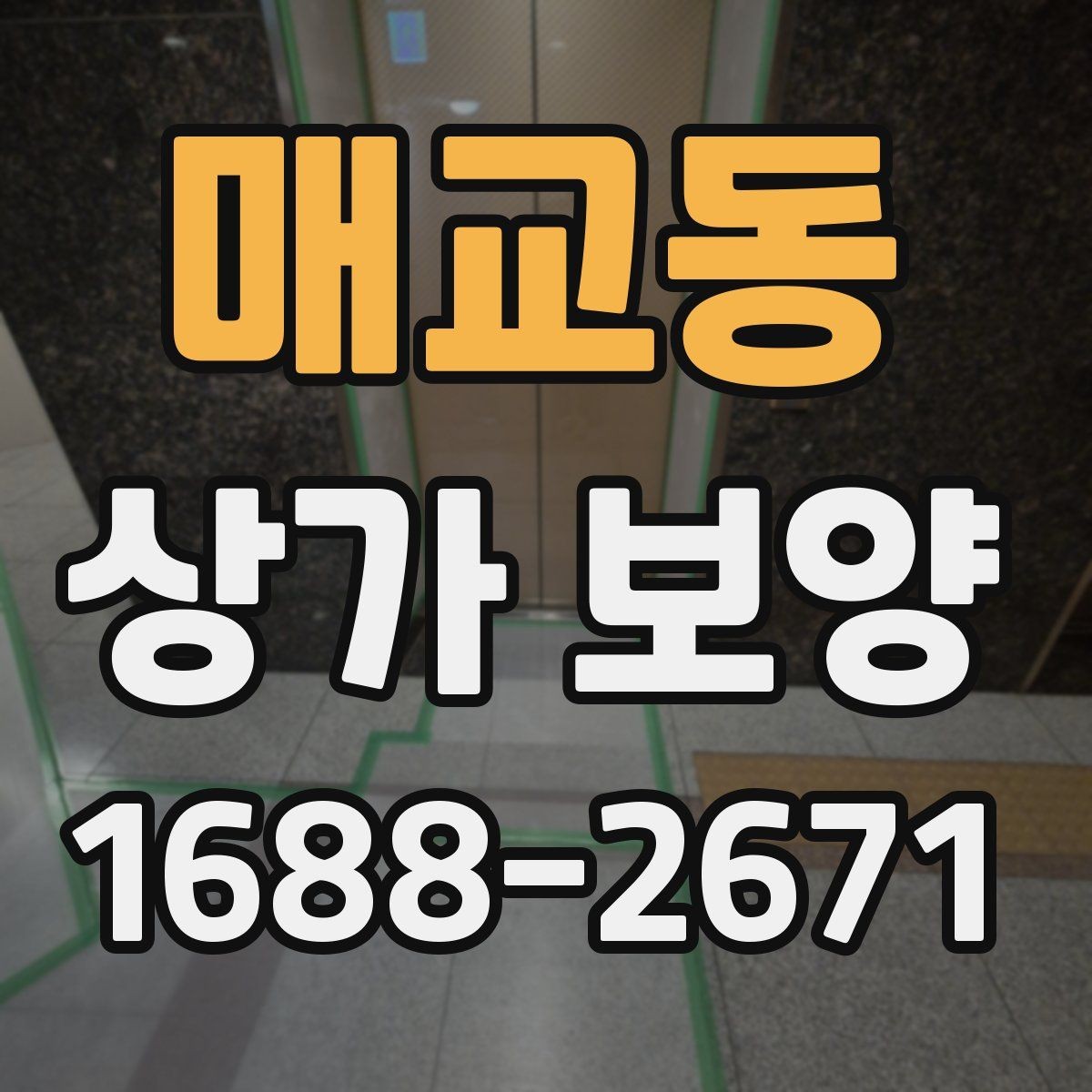 매교동 상가 보양 자재 비교로 보는 현장별 선택법