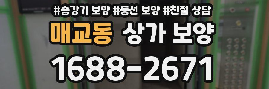 매교동 상가 보양