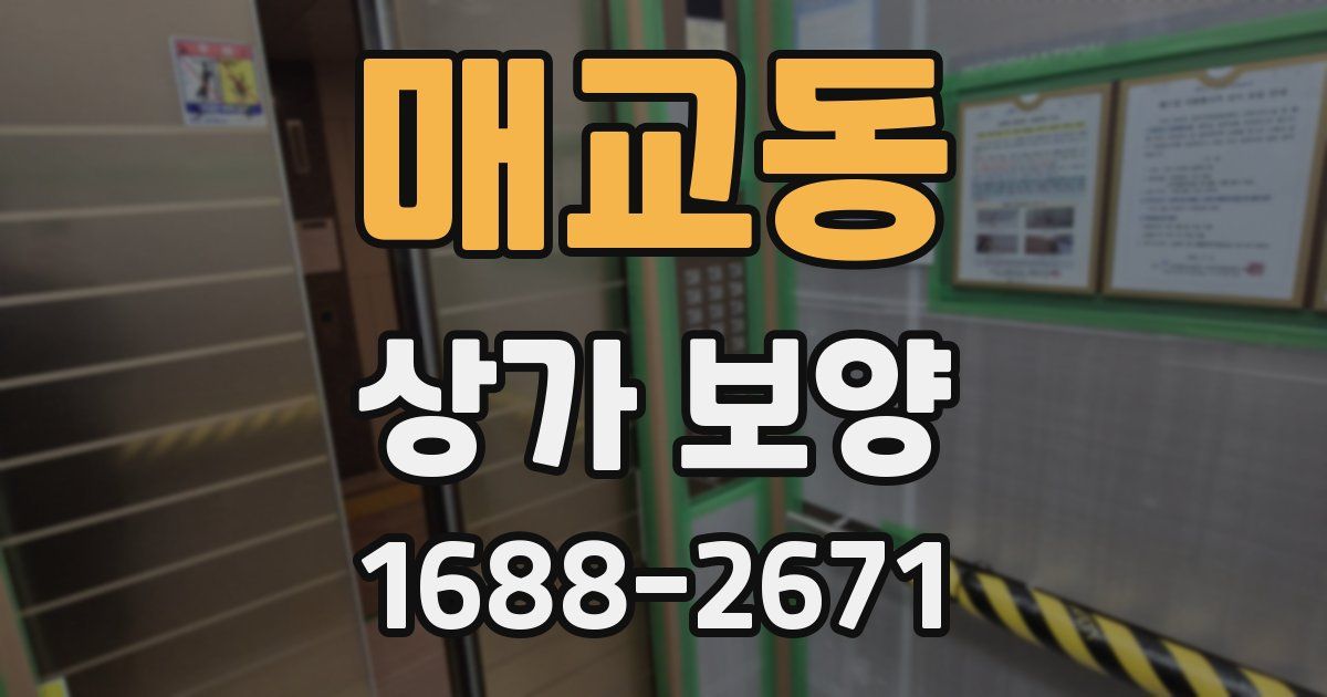 매교동 상가 보양