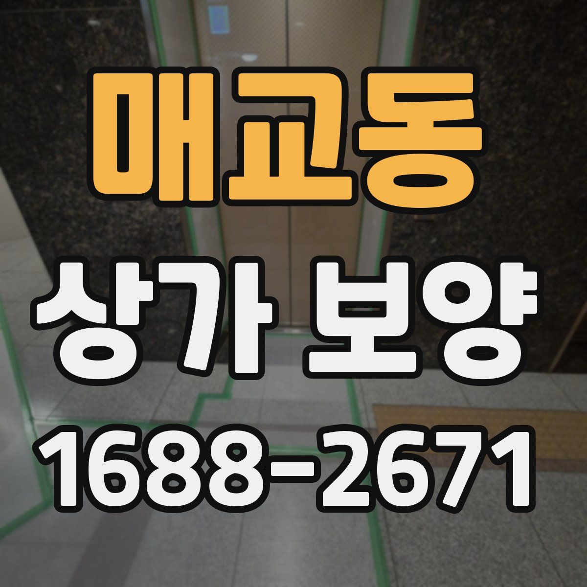 매교동 상가 보양