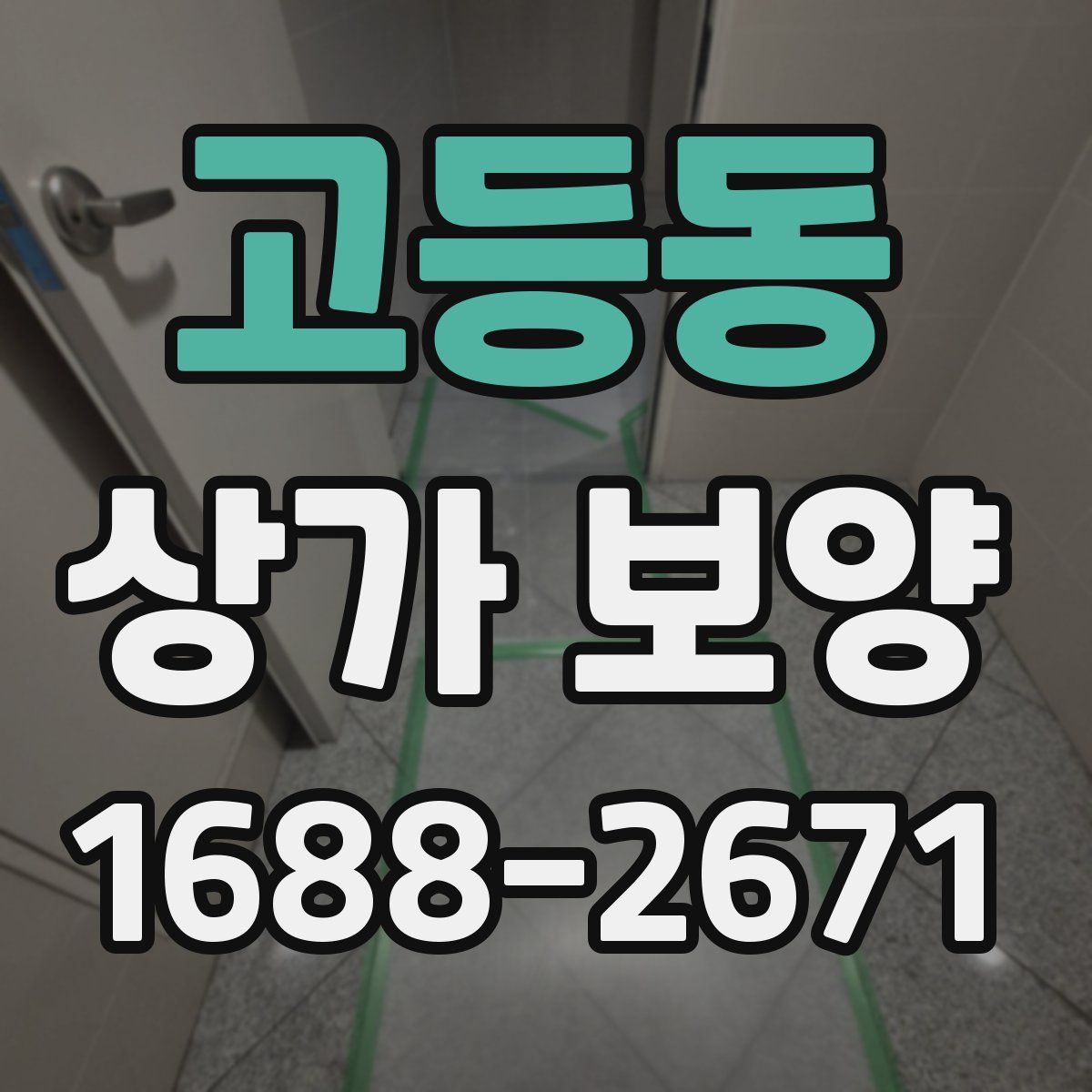 고등동 상가 보양