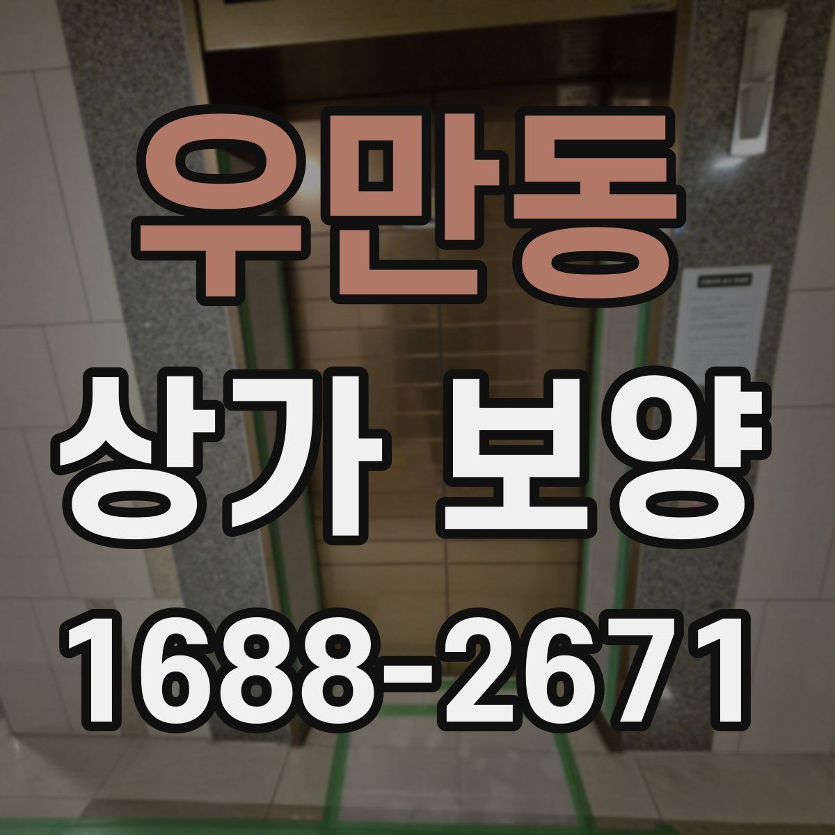 우만동 상가 보양
