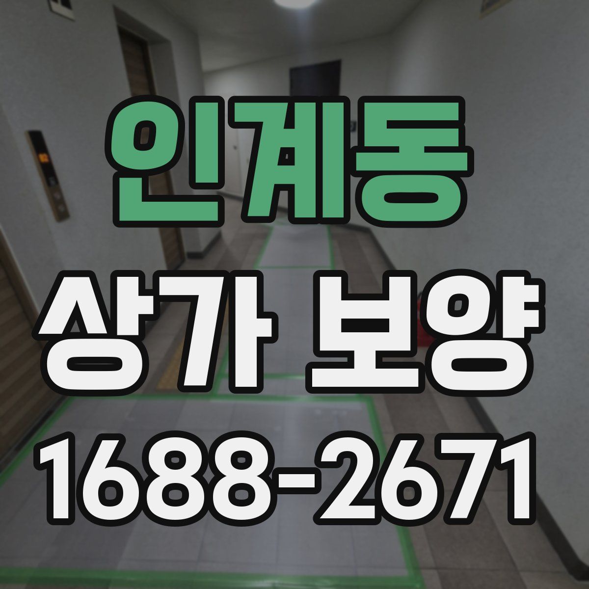 인계동 상가 보양