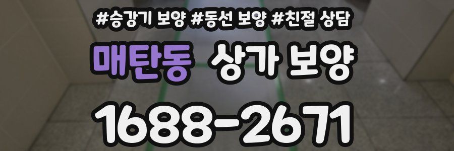 매탄동 상가 보양