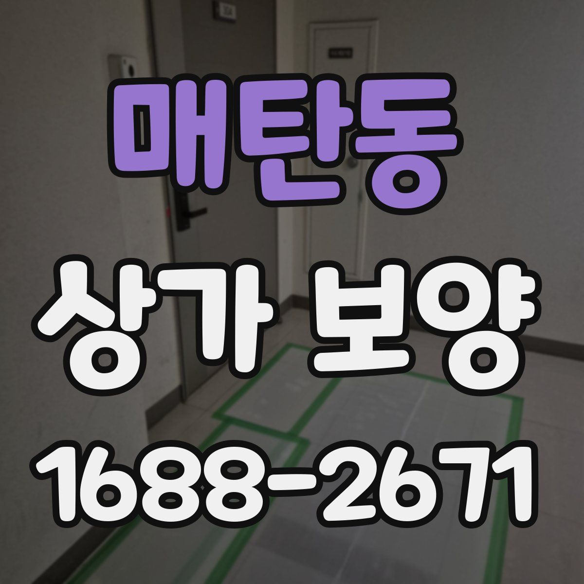 매탄동 상가 보양