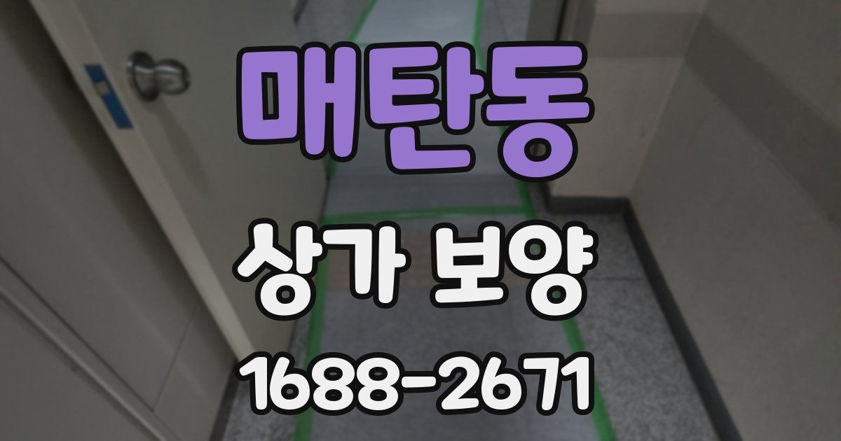 매탄동 상가 보양