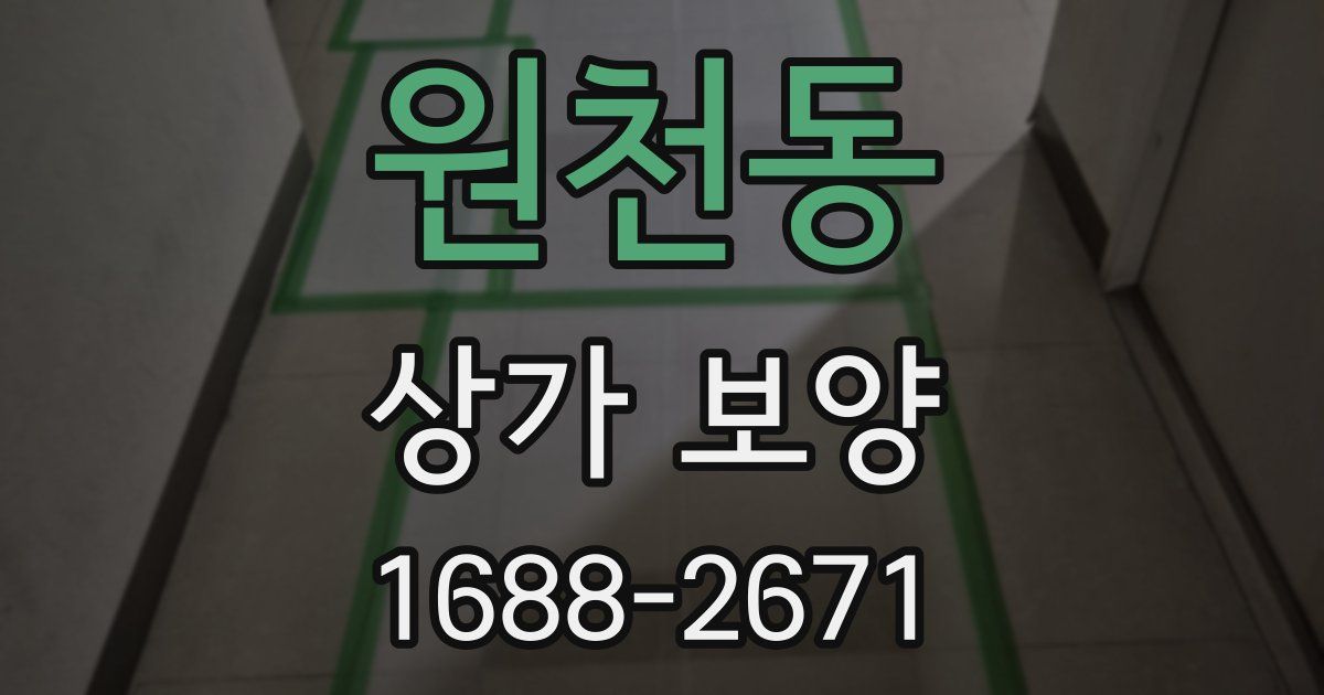 원천동 상가 보양