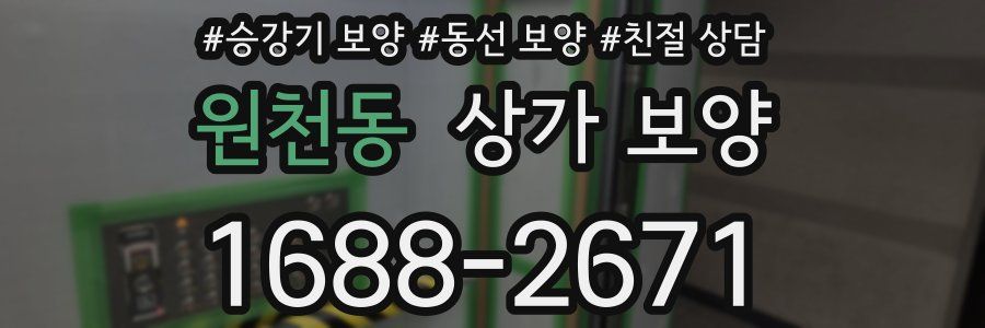 원천동 상가 보양