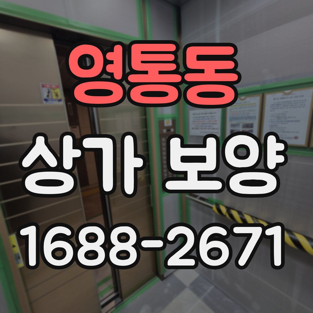 영통동 상가 보양