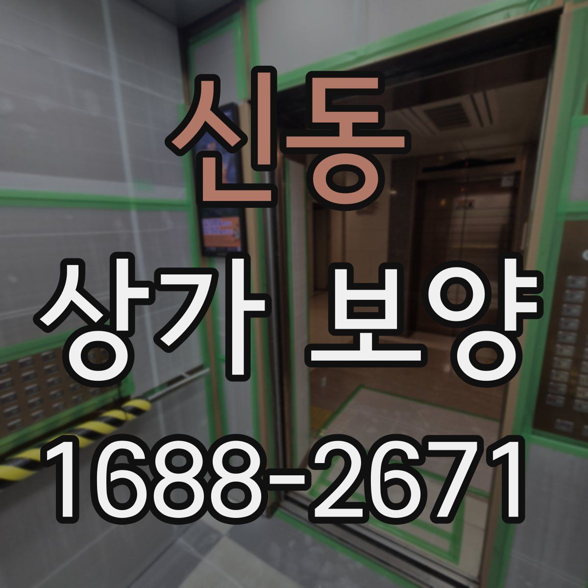 신동 상가 보양