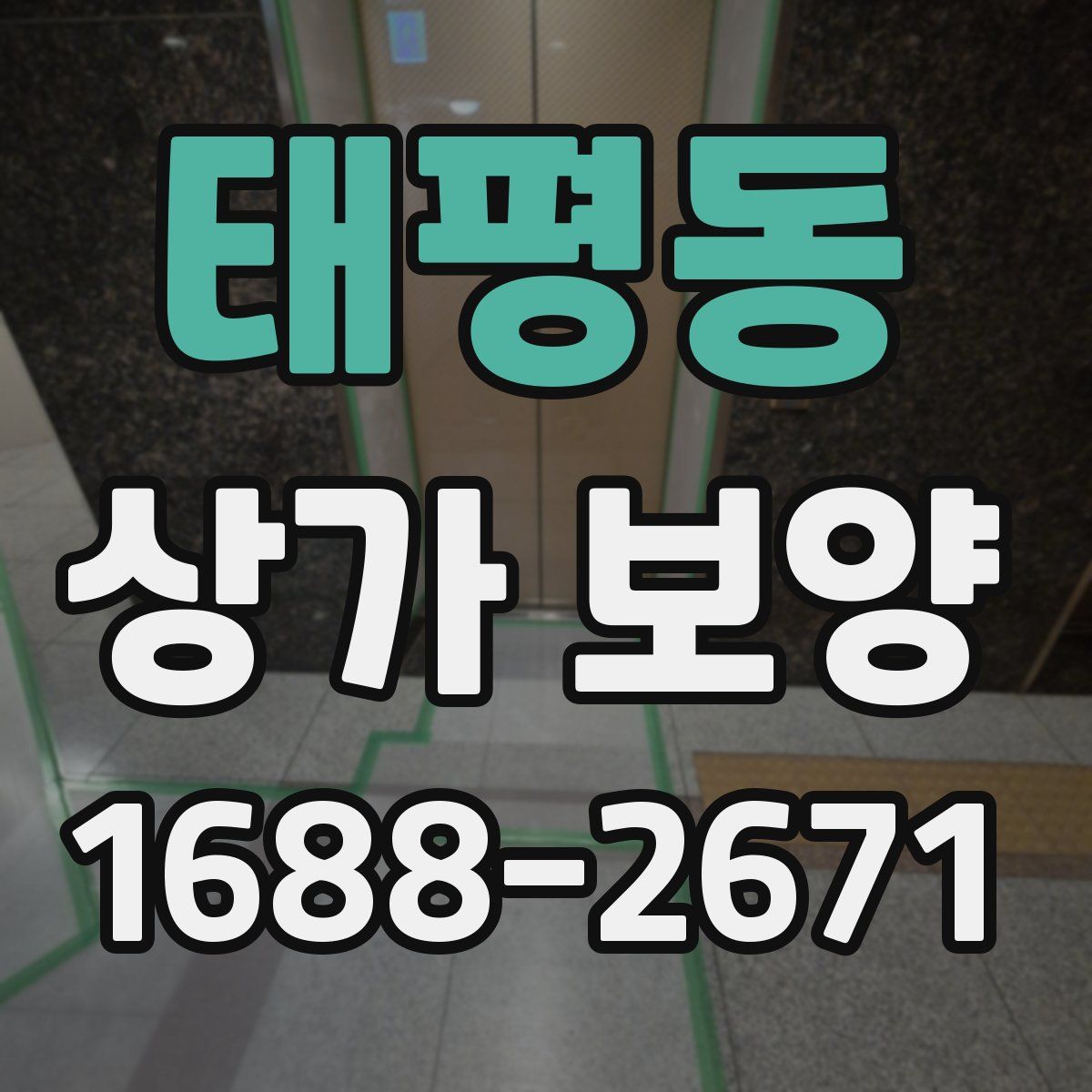태평동 상가 보양