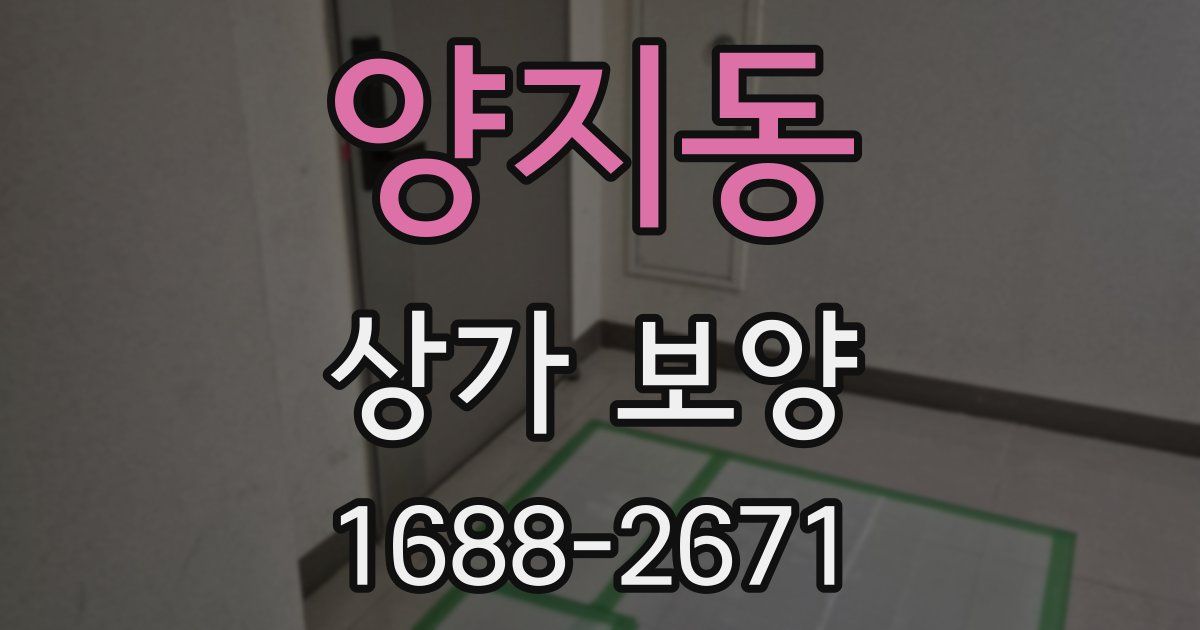 양지동 상가 보양