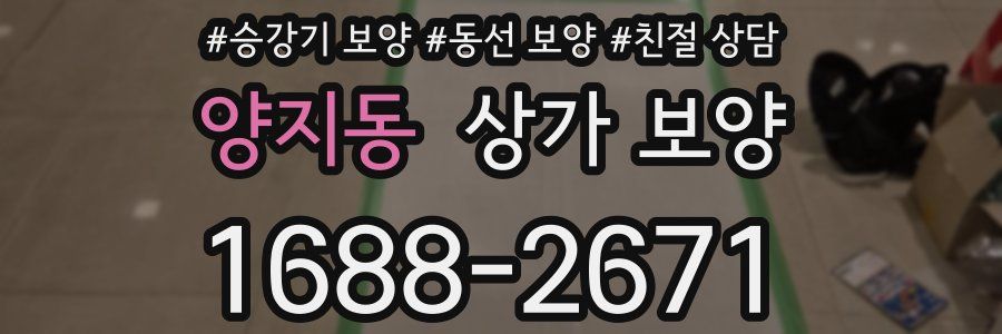 양지동 상가 보양