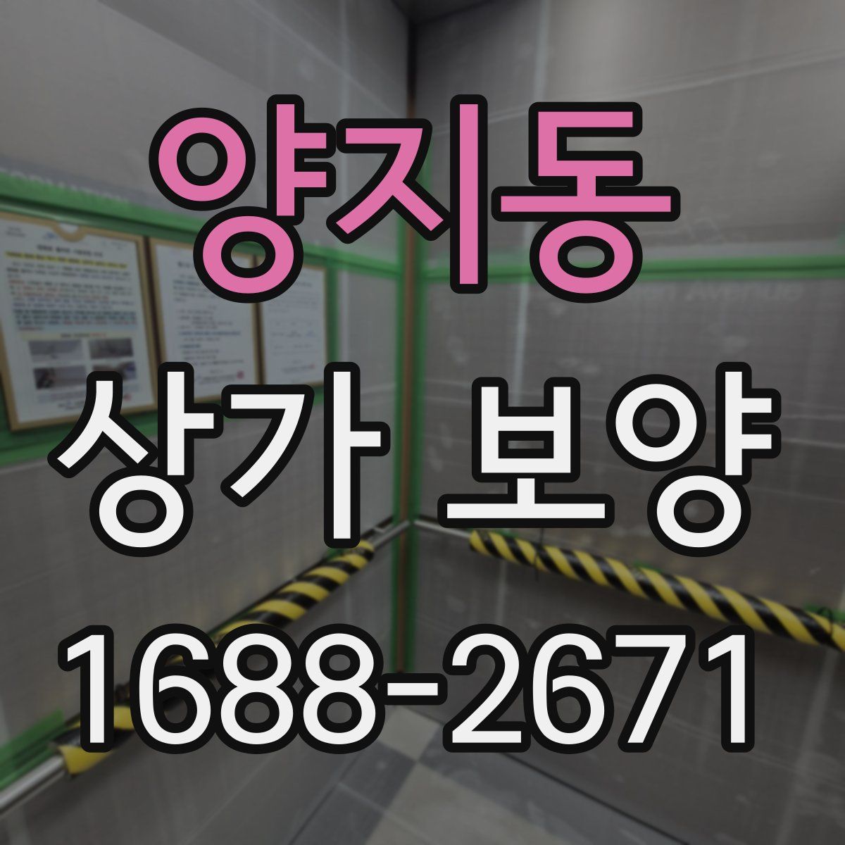 양지동 상가 보양