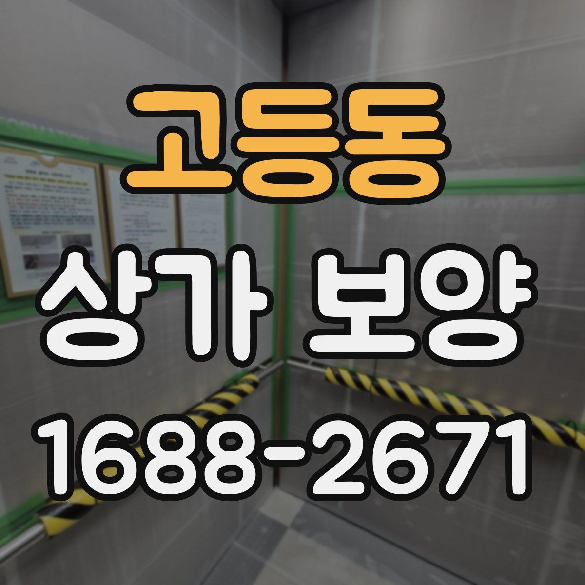 고등동 상가 보양