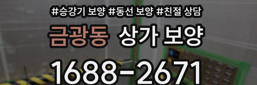 금광동 상가 보양