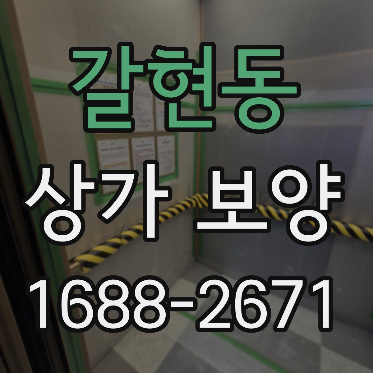 갈현동 상가 보양