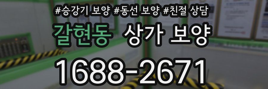 갈현동 상가 보양
