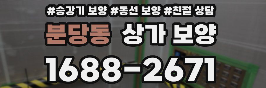 분당동 상가 보양