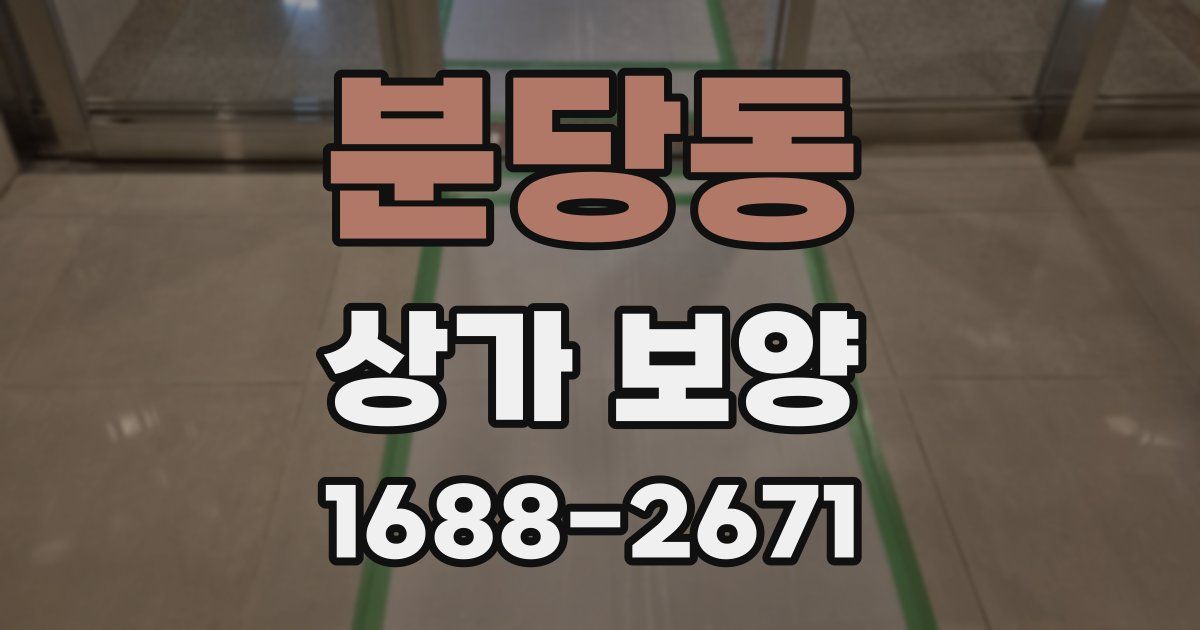 분당동 상가 보양