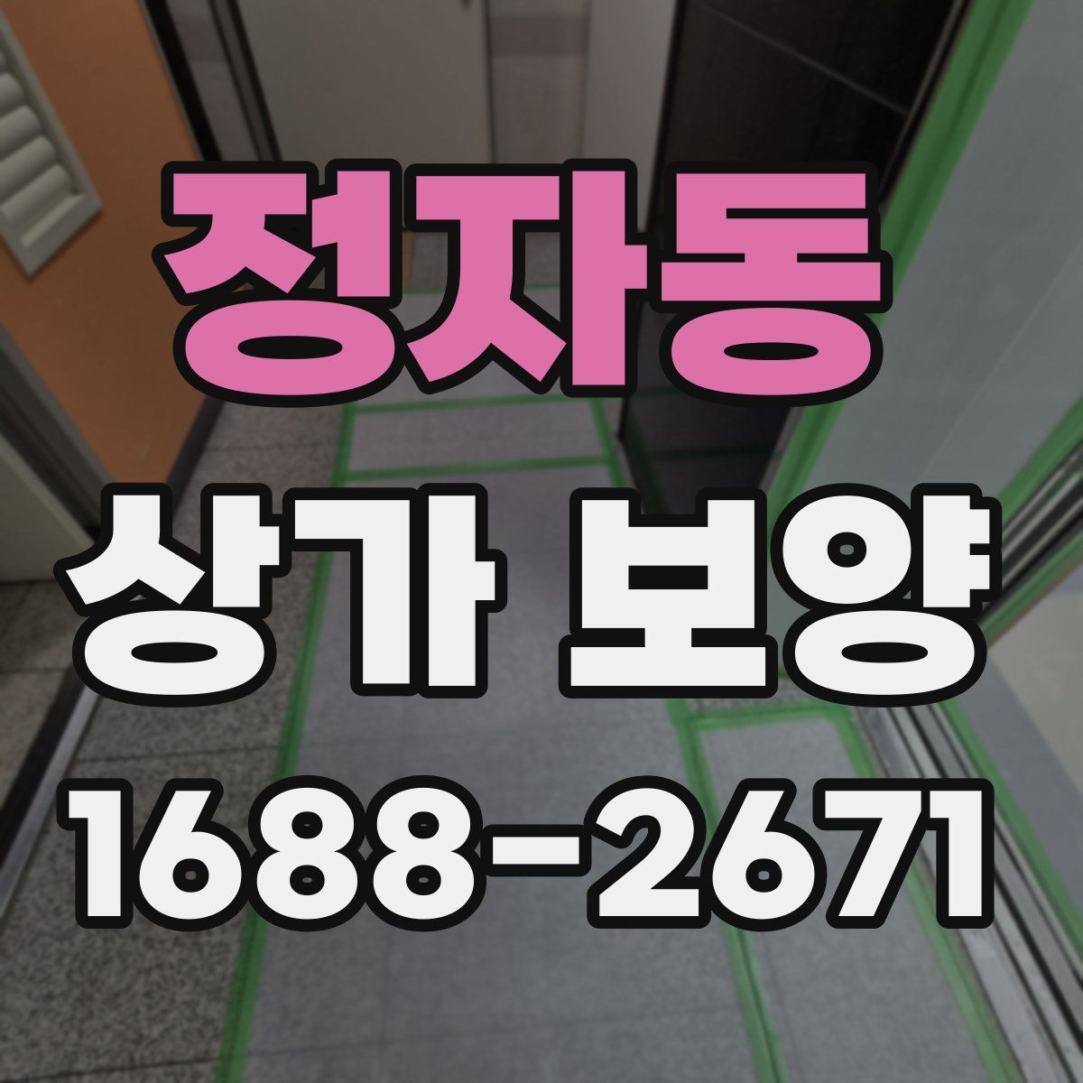 정자동 상가 보양