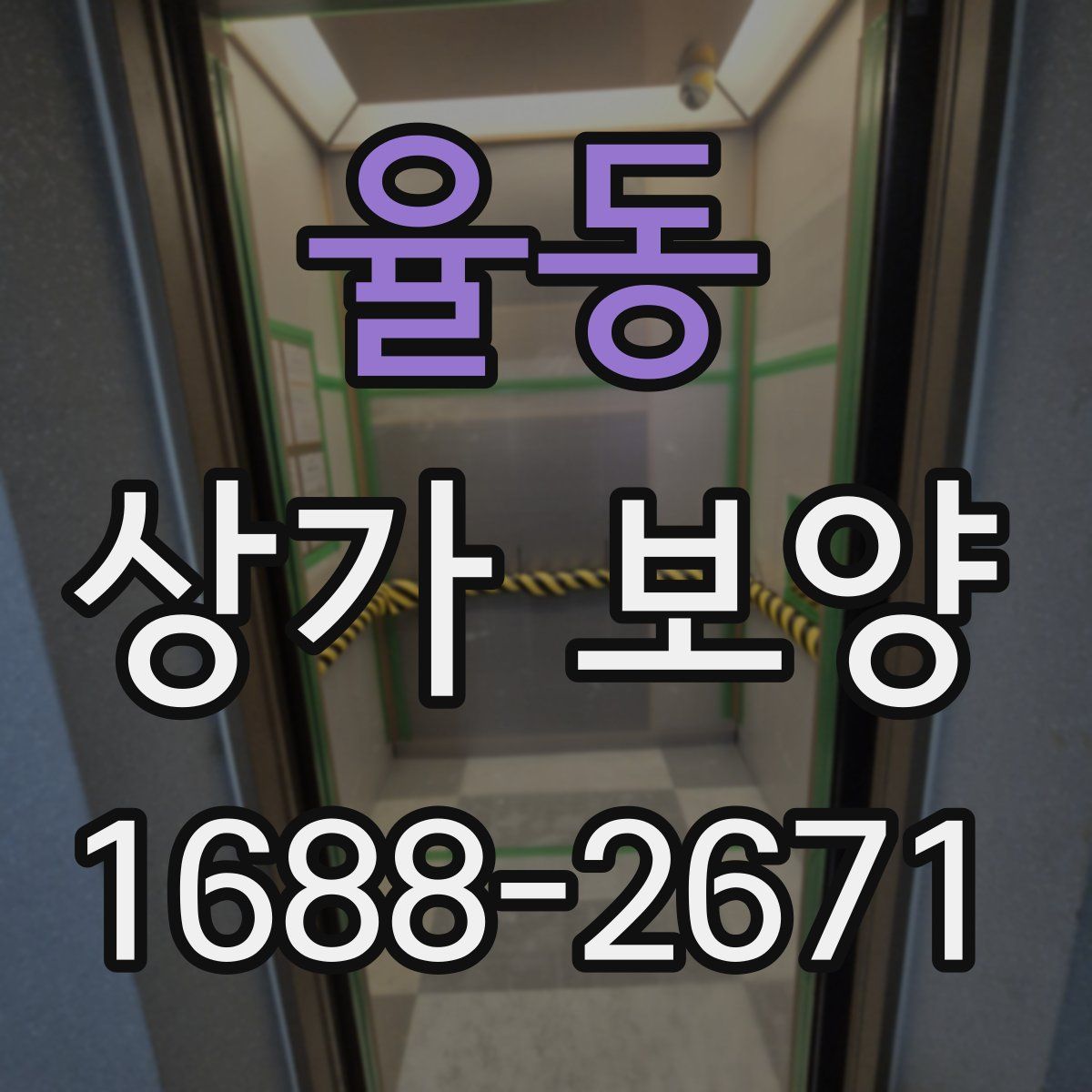 율동 상가 보양