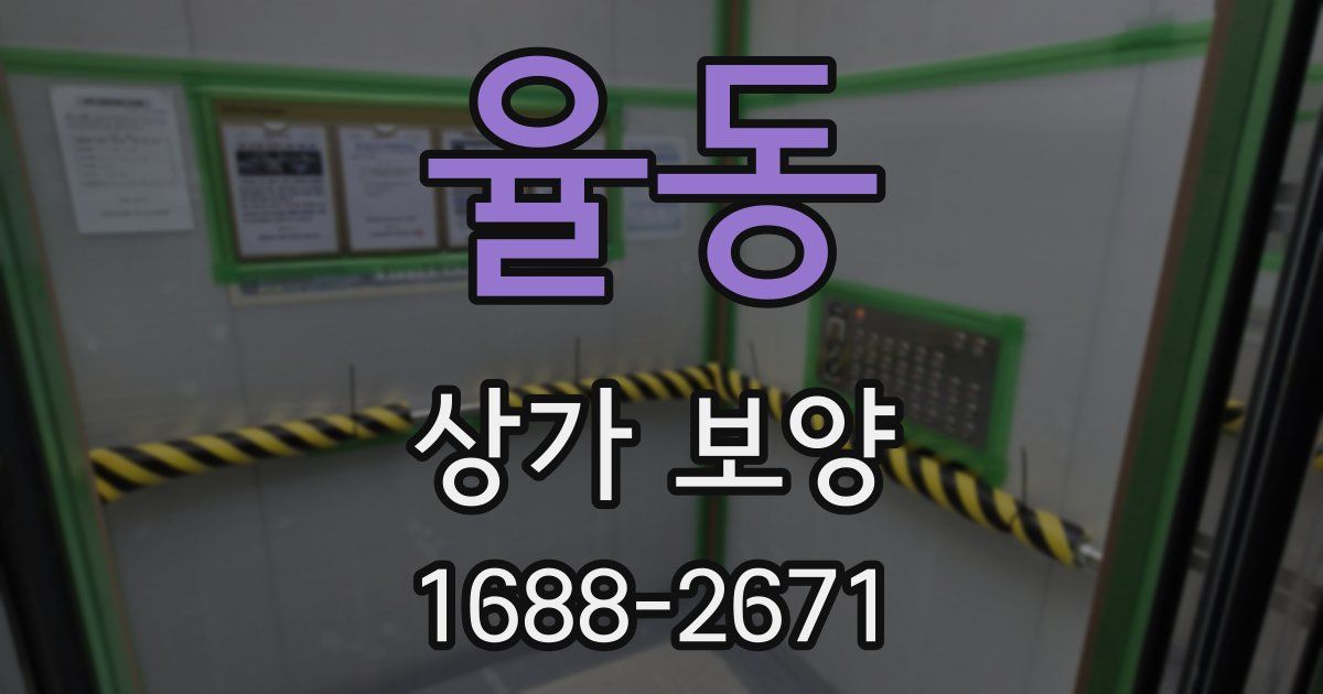율동 상가 보양