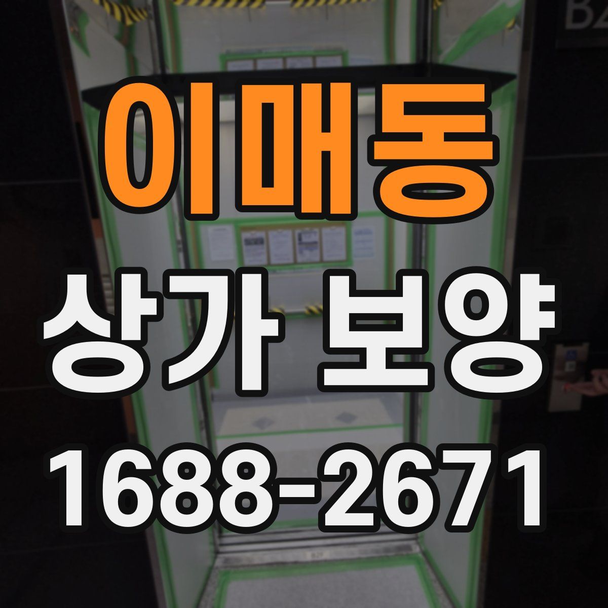 이매동 상가 보양