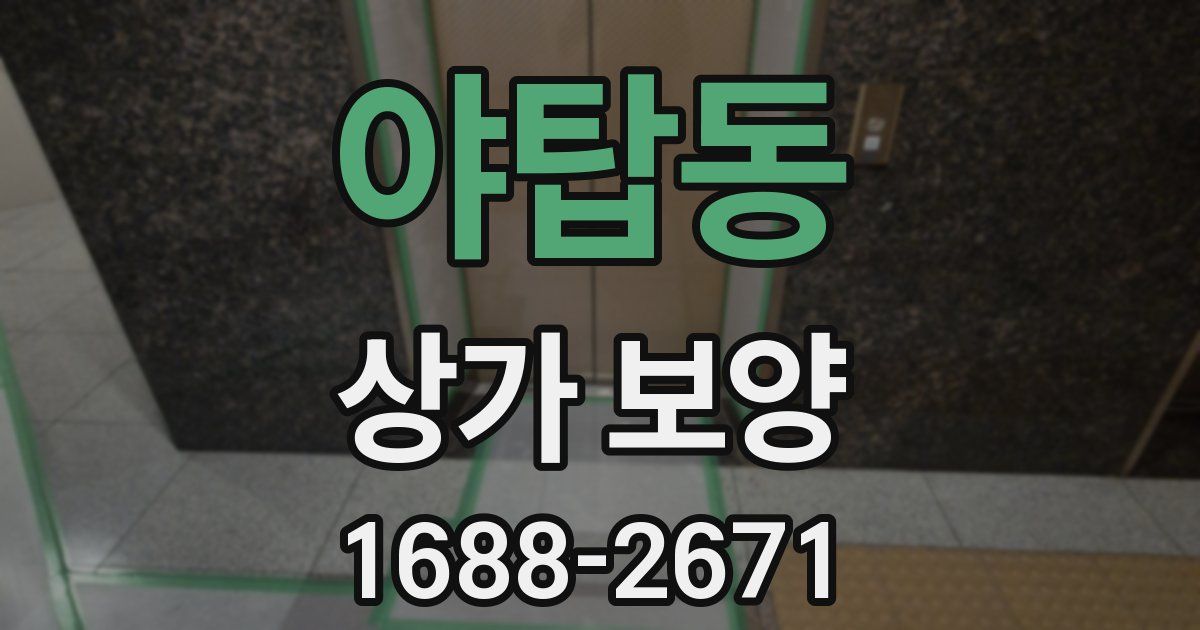 야탑동 상가 보양