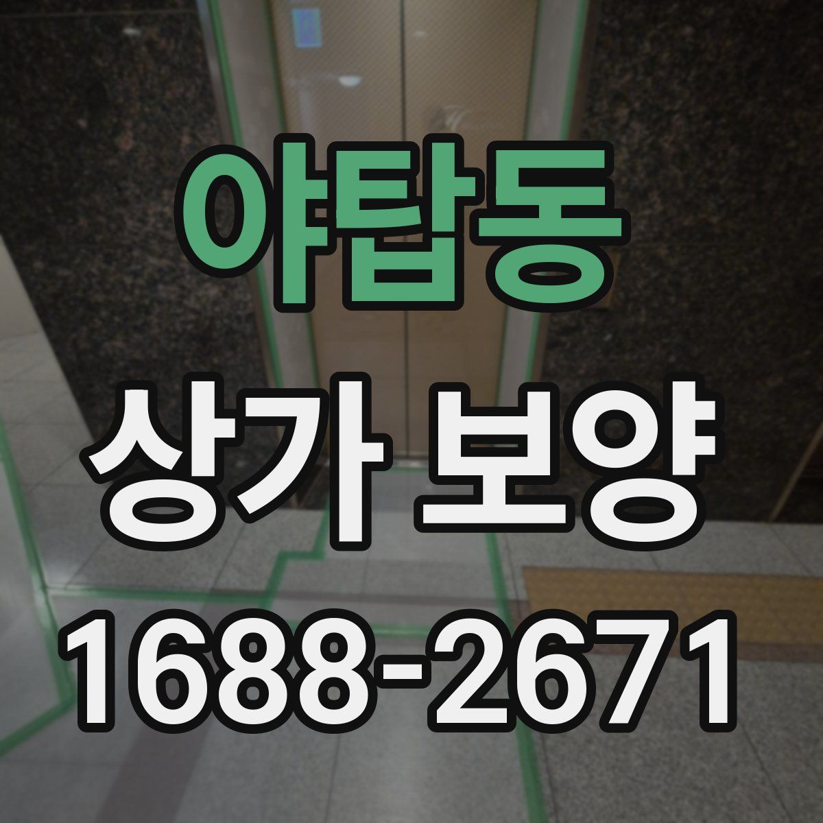 야탑동 상가 보양