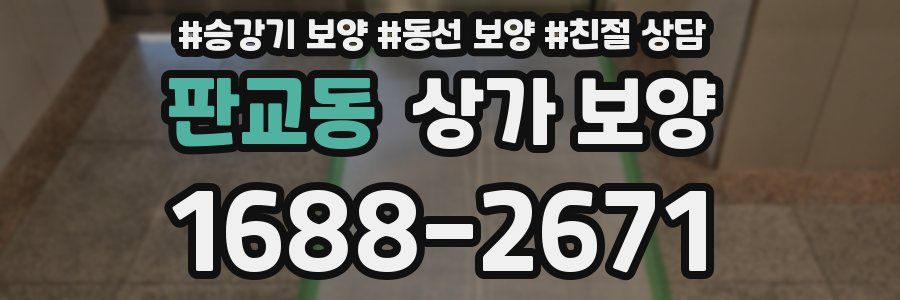 판교동 상가 보양