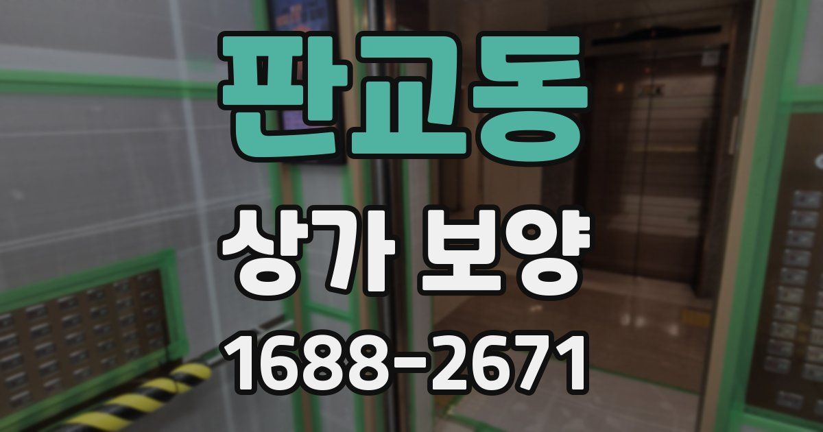 판교동 상가 보양