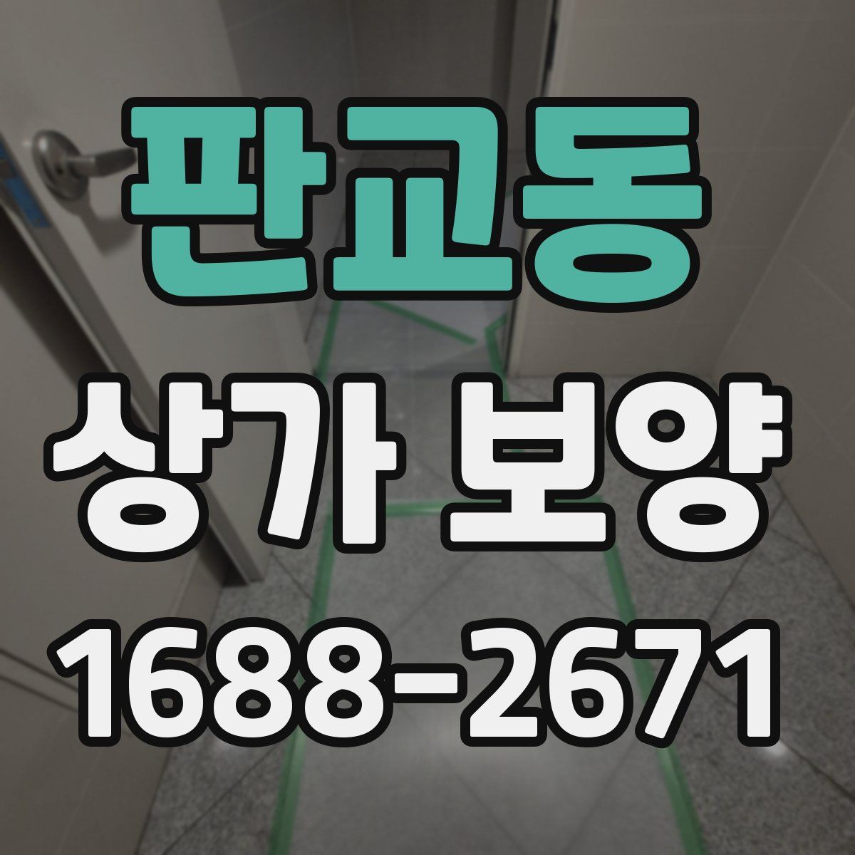 판교동 상가 보양