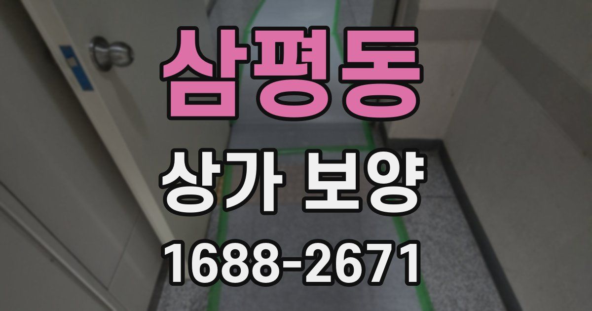 삼평동 상가 보양