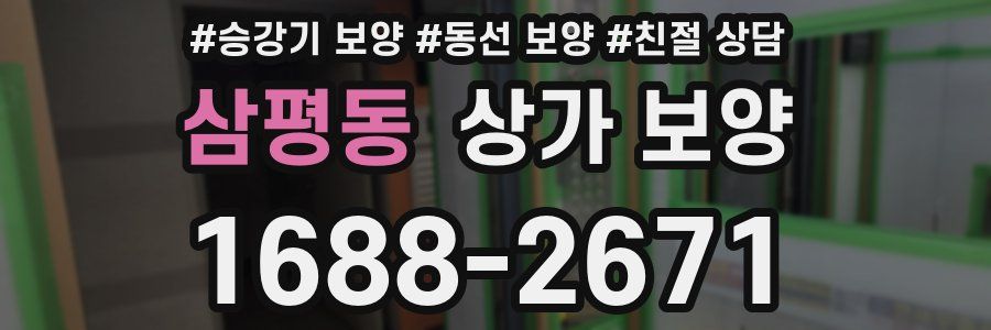 삼평동 상가 보양