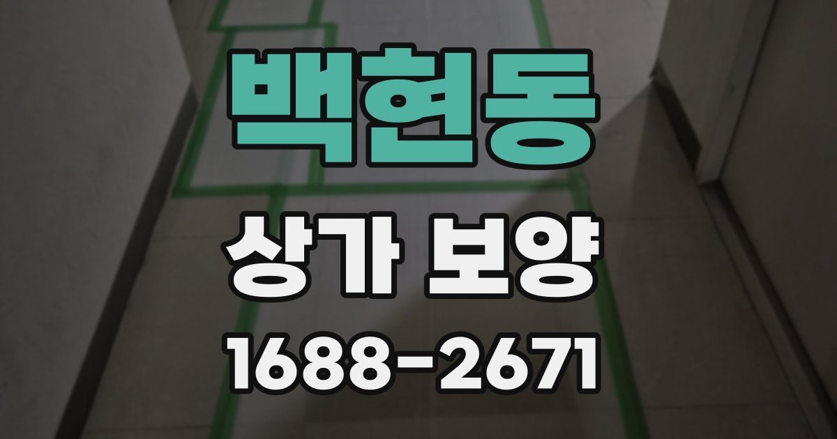 백현동 상가 보양