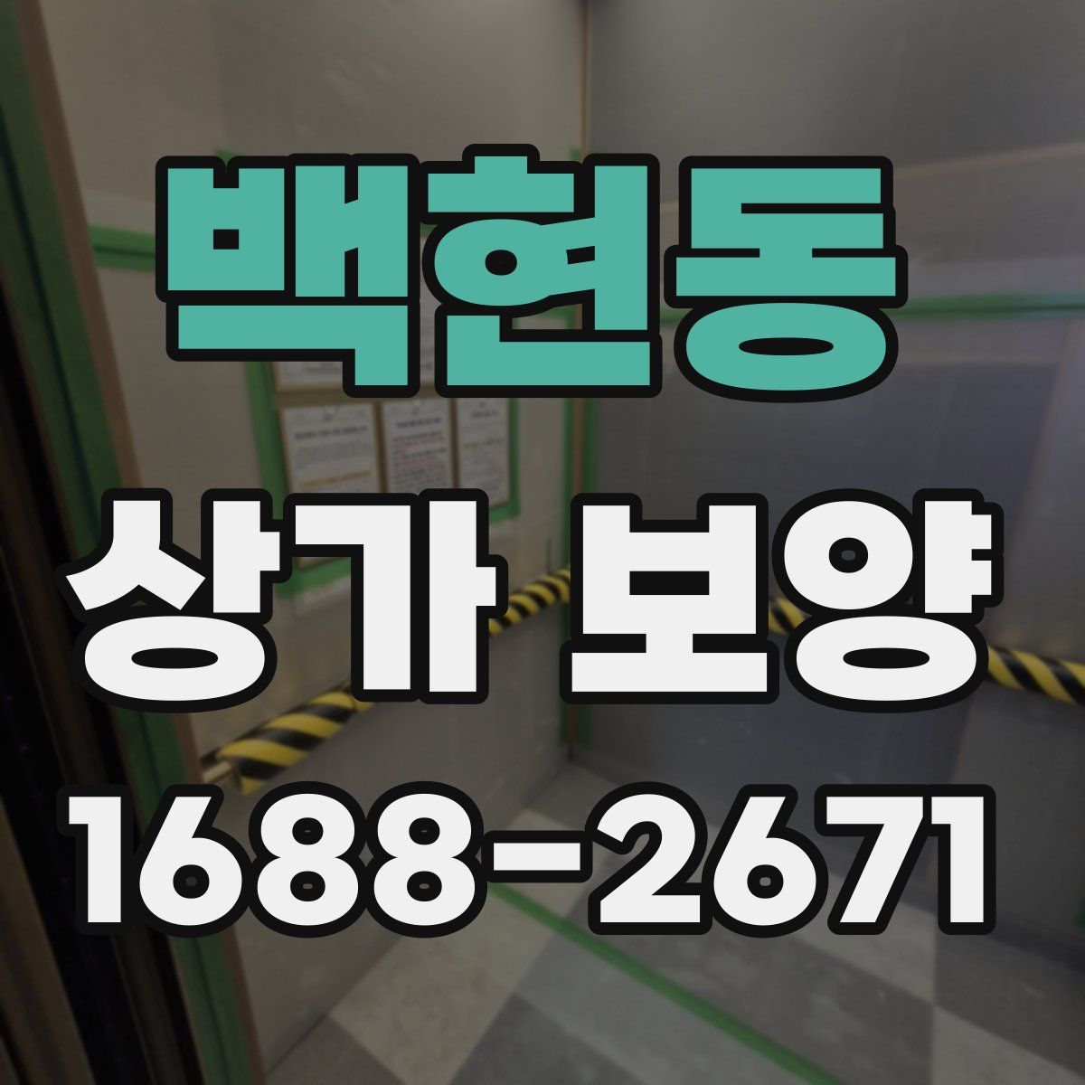 백현동 상가 보양