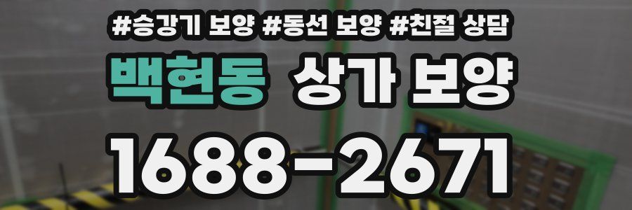 백현동 상가 보양