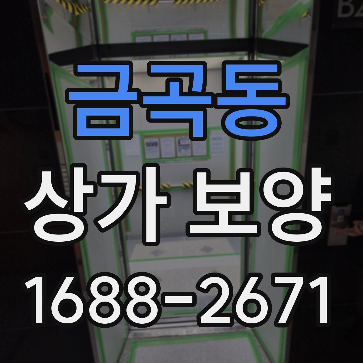 금곡동 상가 보양