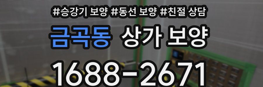금곡동 상가 보양