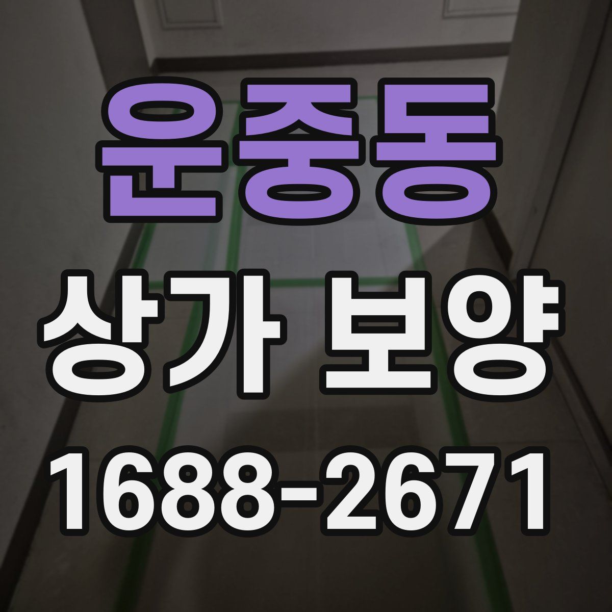 운중동 상가 보양