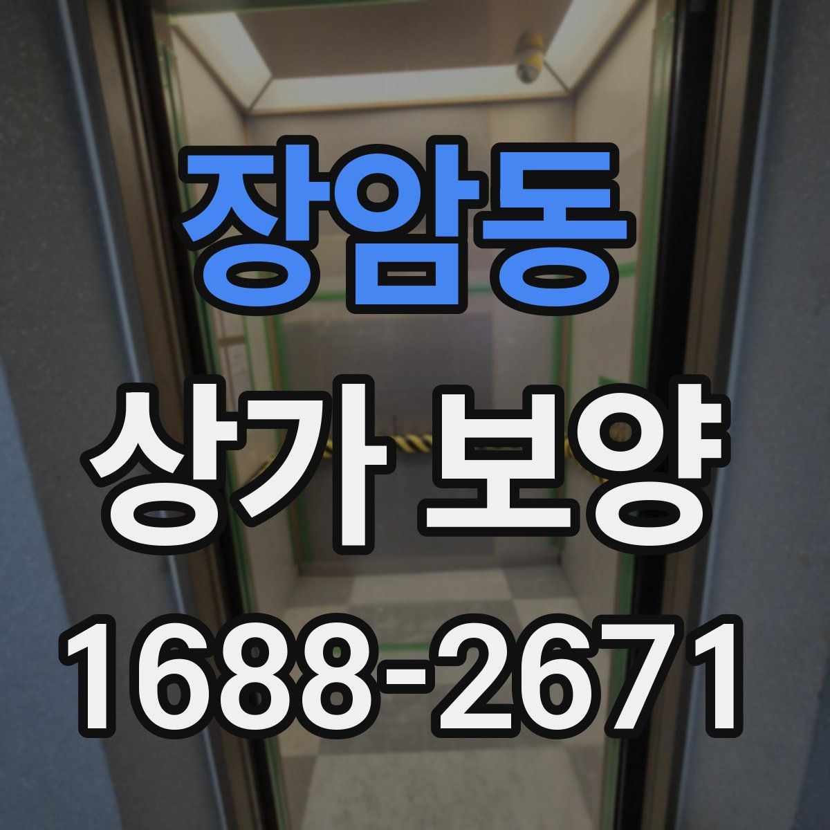 장암동 상가 보양