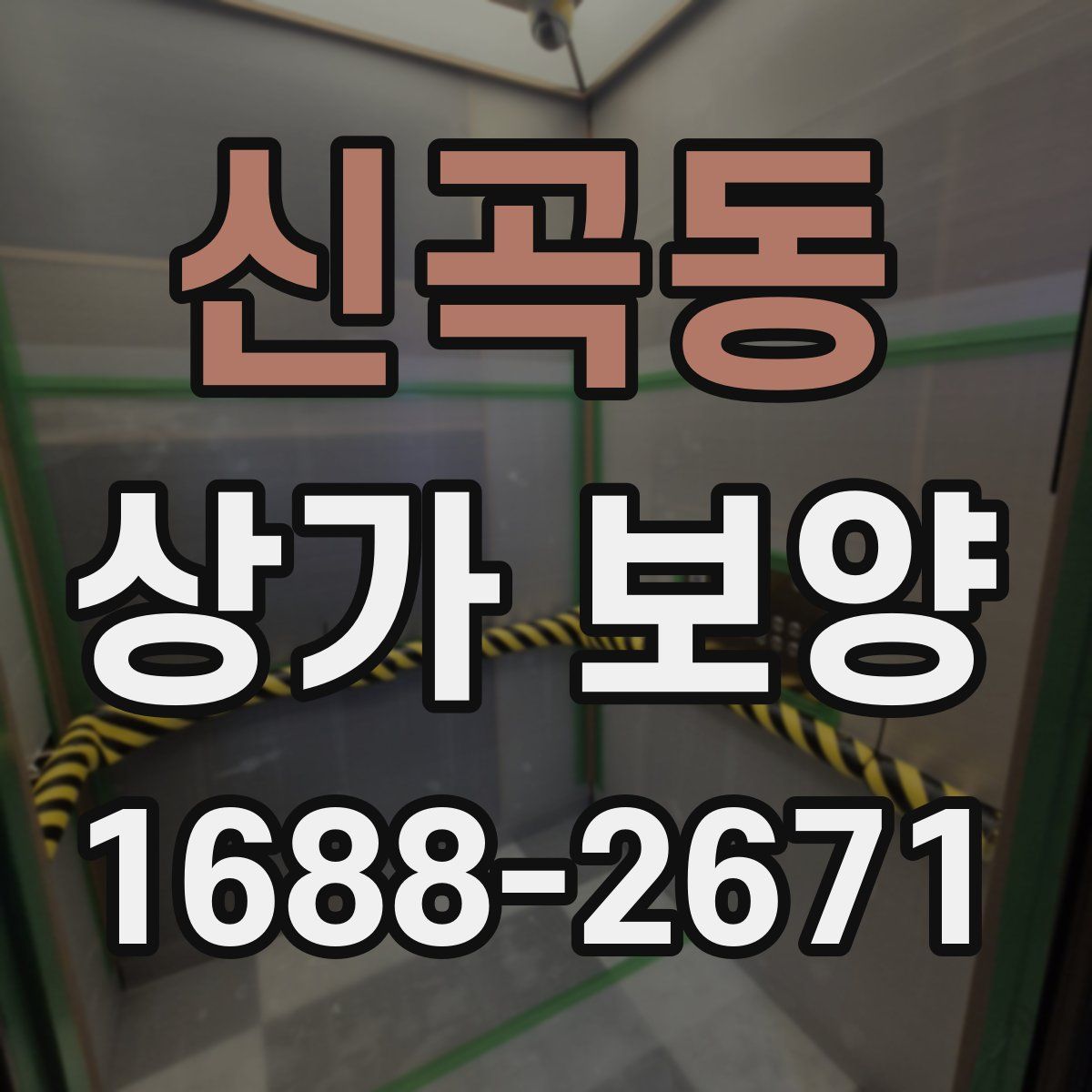 신곡동 상가 보양