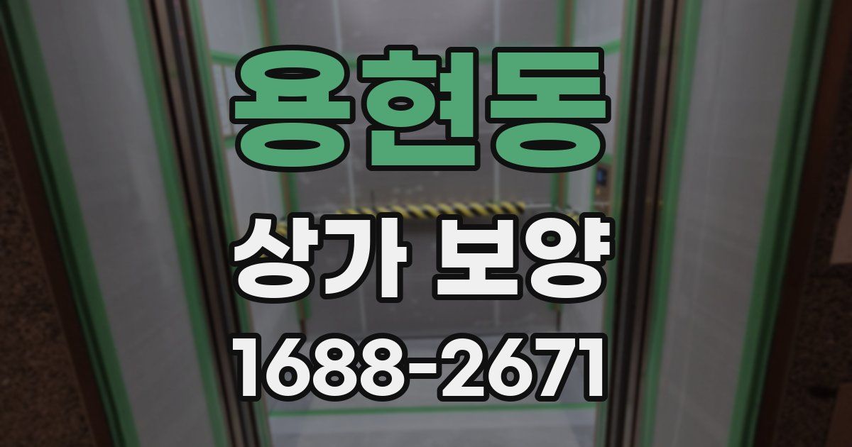 용현동 상가 보양